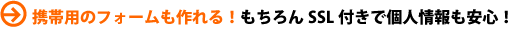 �g�їp�̃t�H�[��������I�������SSL�t���Ōl�������S�I