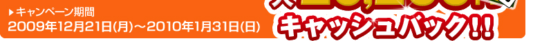 キャンペーン期間：2009年12月21日(月)～2010年1月31日(日)